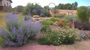 WP_20160617_10_12_52_Pro