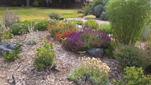 WP_20160617_10_16_41_Pro