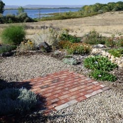 Pollinator Garden Engraved Bricks