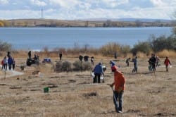 Sagebrush Steppe Restoration Project – Update