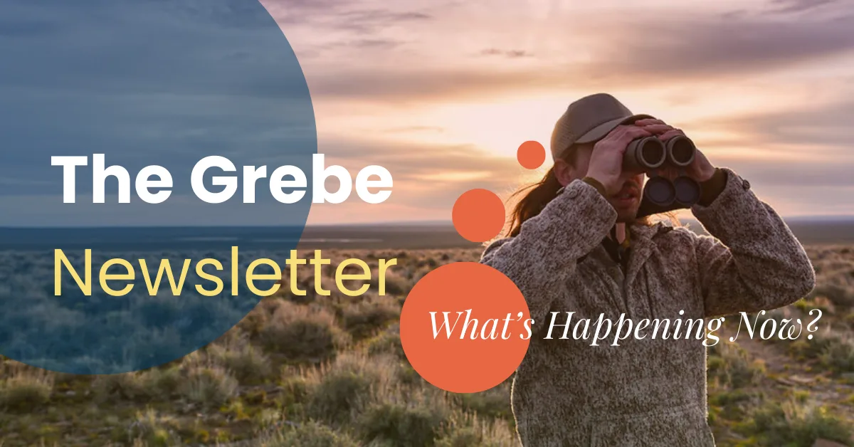 The Grebe Spring 2025 Newsletter